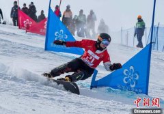 国际雪联单板滑雪北美杯 宫乃莹平行回转夺金